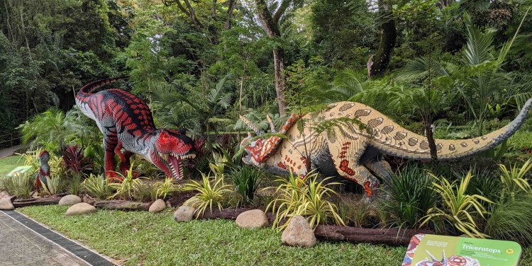 Mandai Wildlife Reserve