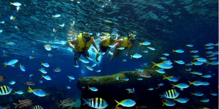 Marine Life Park at Resorts World Sentosa