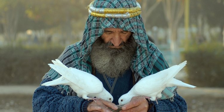 Najibullah Musafer/Frame by Frame