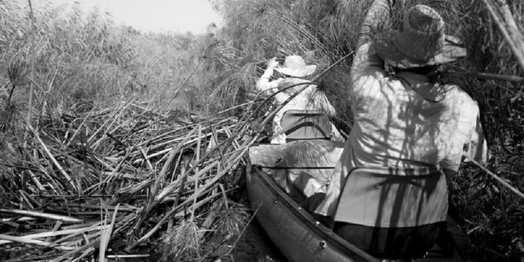 Odyssey: Picturing and imagining the Okavango Delta