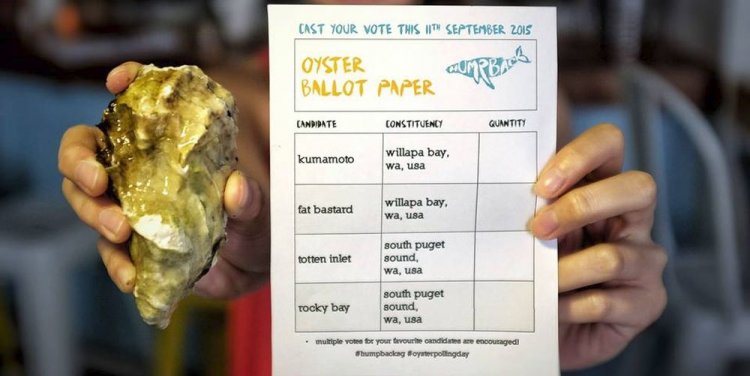 Oyster Polling Day
