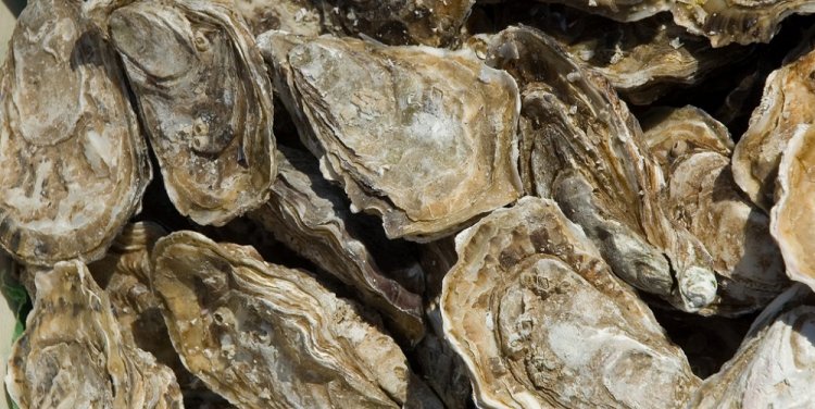 Photo by Paul Asman and Jill Lenoble Follow via Flickr