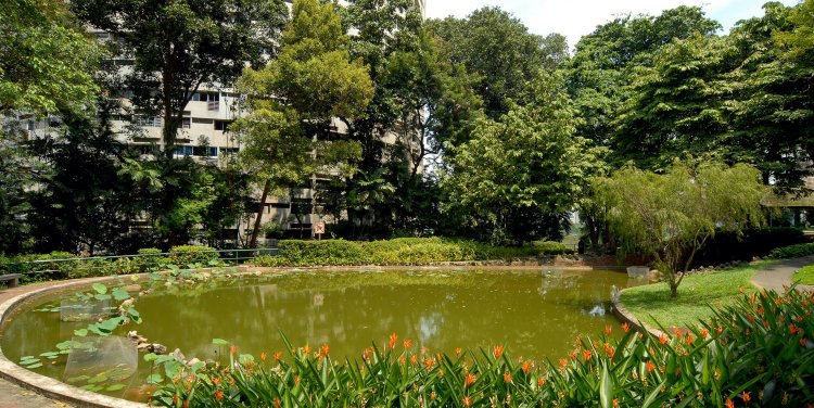 Pearl’s Hill City Park