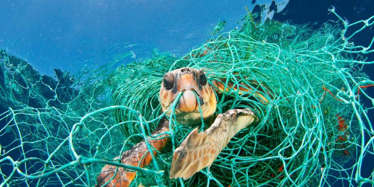 Photograph by Jordi Chias, showcased at Planet or Plastic? exhibition