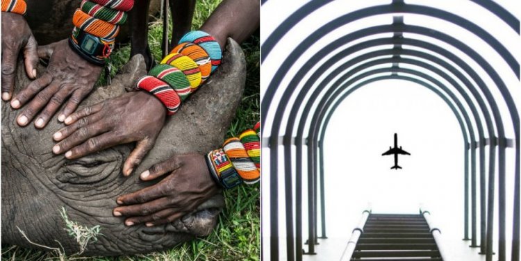 Left: Ami Vitale, USA; screenshot from @yuuuuuwei