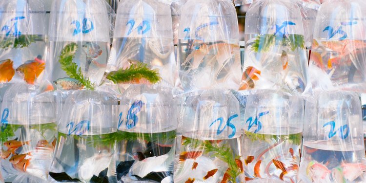 A work by Hong Kong's Matthew Kwan; Affordable Art Fair 2013, Singapore