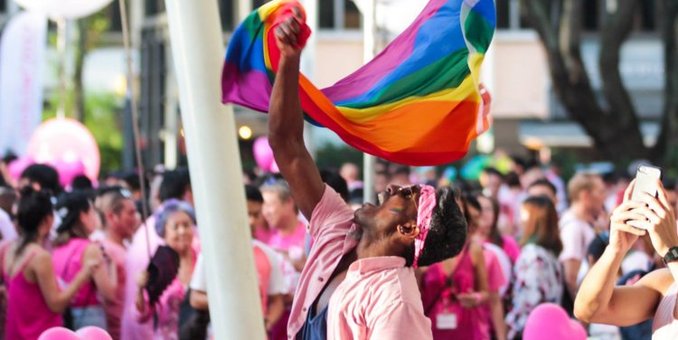 Pink Dot 2017. Photo credit: Rachel Ng / Pink Dot SG's Facebook page