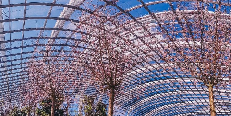 Gardens by the Bay Flower Dome