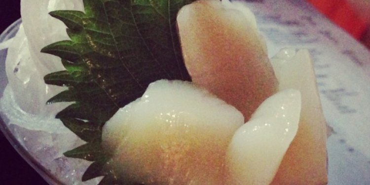 Scallop sashimi at KOI Sushi + Izakaya