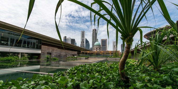 Photo credit: National Gallery Singapore