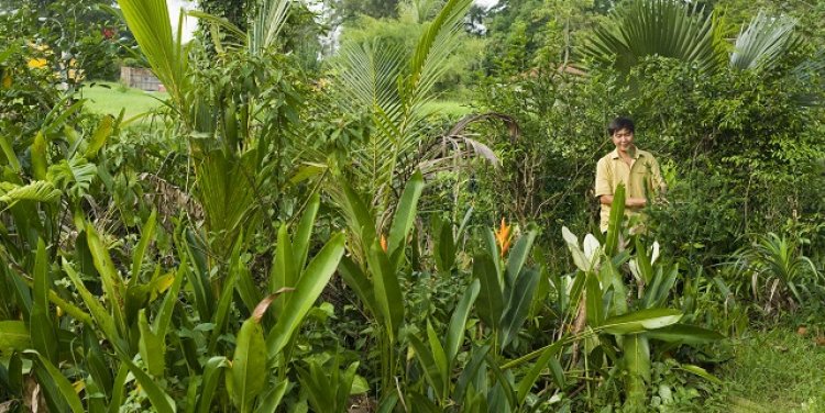 Seletar Camp, Singapore (credit: Craig McTurk)