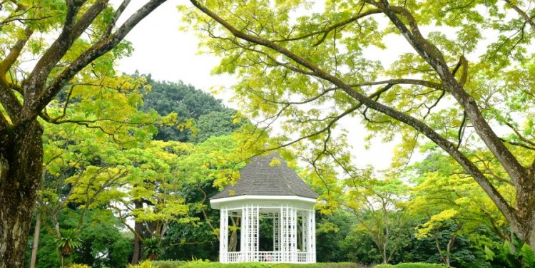 Singapore Botanic Gardens, Photo credit: Jnzl