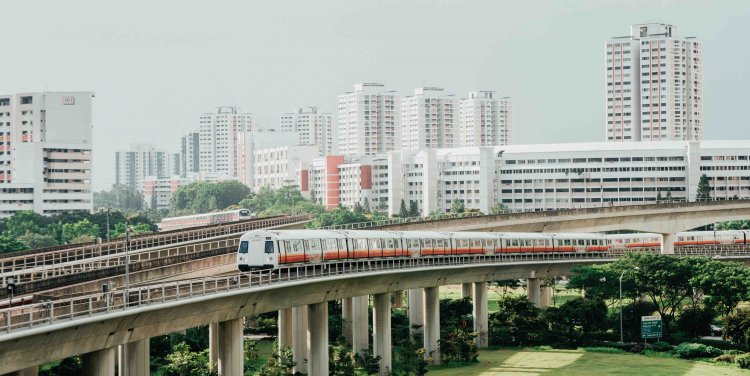 Photo by Shawn Ang on Unsplash