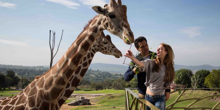 Enamorándome de Abril (Romancing April) 