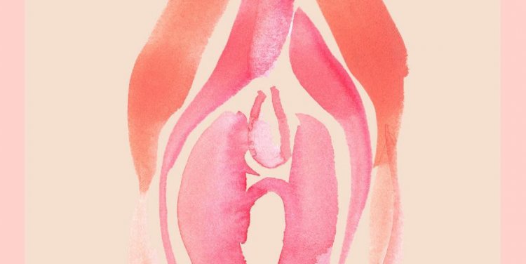 Credit: Strip Facebook page