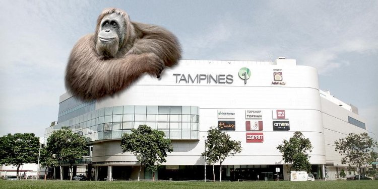 Strip, Browhaus Tampines 1