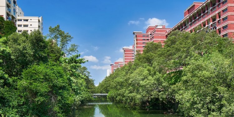 Sungei Api Api (Image courtesy of NHB)