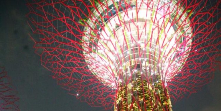 SuperTree by IndoChine