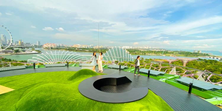 Supertree Observatory