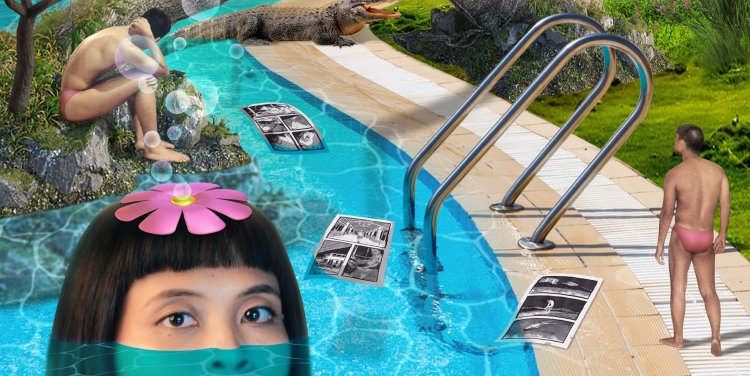 The Swimming Pool Library 