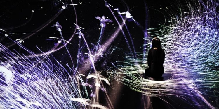 The Way of Birds (Credit: teamLab)