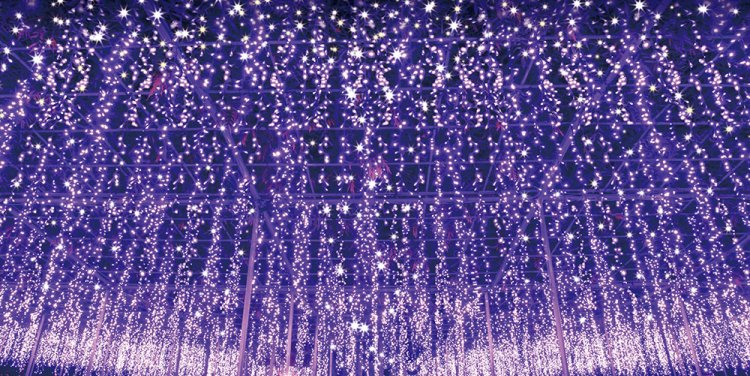 The “Miraculous Great Wisteria” at Ashikaga Flower Park