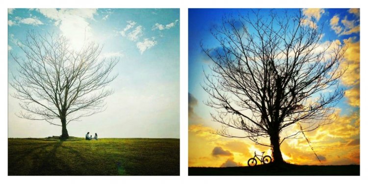 Photo credit: Gene Lau and xtacee