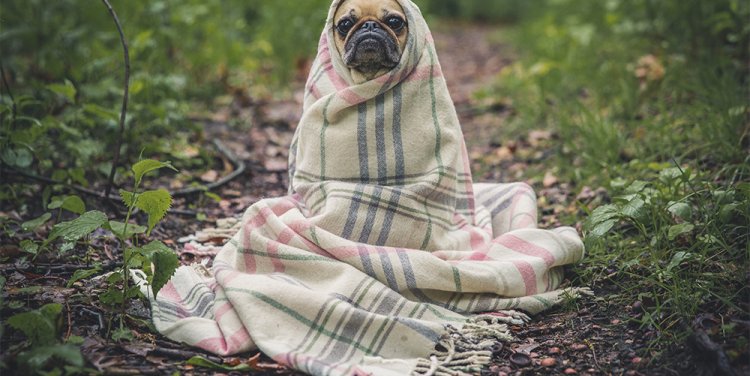 Photo credit: Unsplash user @matthewhenry