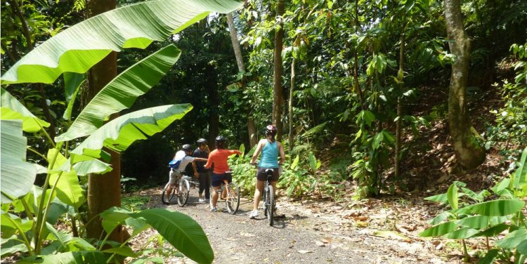 Photo credit: National Parks Board, Ulu Sembawang Park Connector