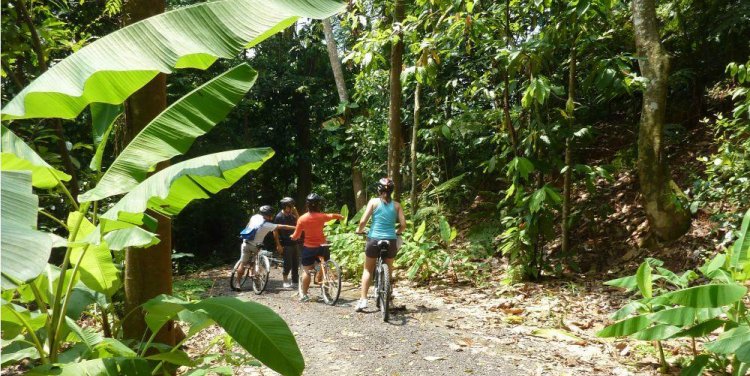 Cycling in Ulu Sembawang Park Connector