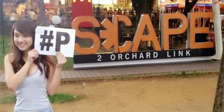 Janice of Tree Potatoes took her photo at *SCAPE