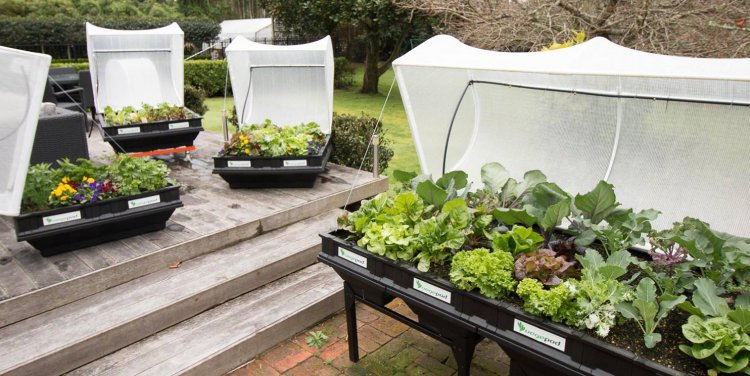 Photo credit: Vegepod Singapore's Facebook page