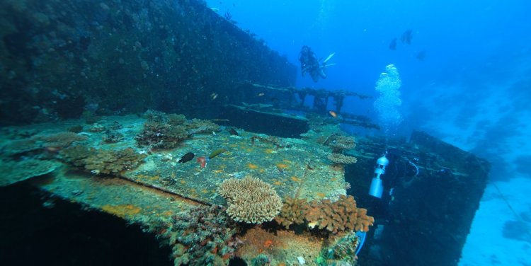 The Rannamaari wreck in the Maldives