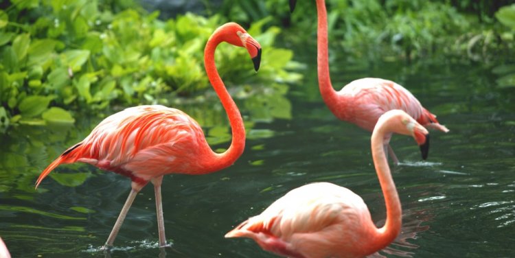 Photo credit: Singapore Tourism Board