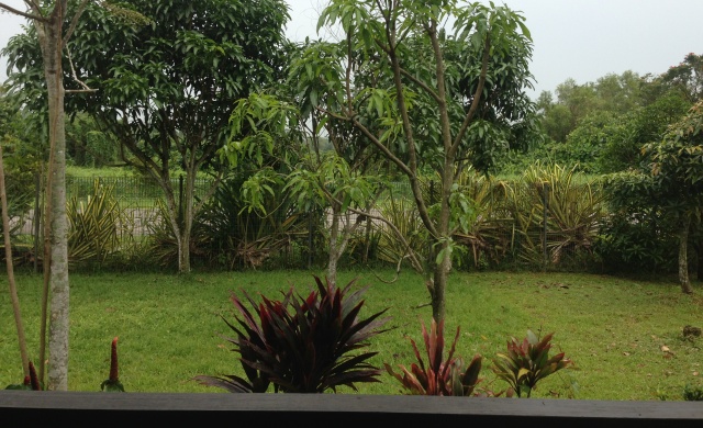 View from the terrace at D’Kranji Farm Resort