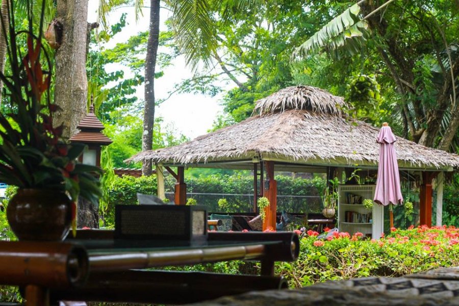 , Thailand&#8217;s best wellness retreats to detox and de-stress