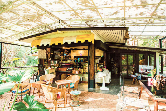 , Chiang Mai&#8217;s must-visit jungle cafes