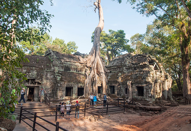 , The cool side of Siem Reap