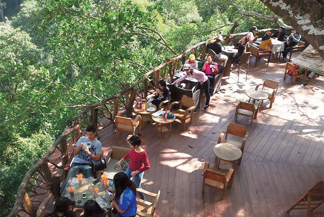 , Chiang Mai&#8217;s must-visit jungle cafes