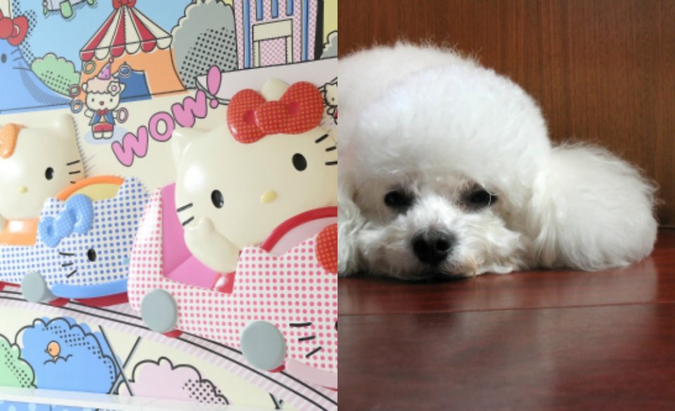 , A Hello Kitty cafe, panda sex and other trending topics this week in Singapore