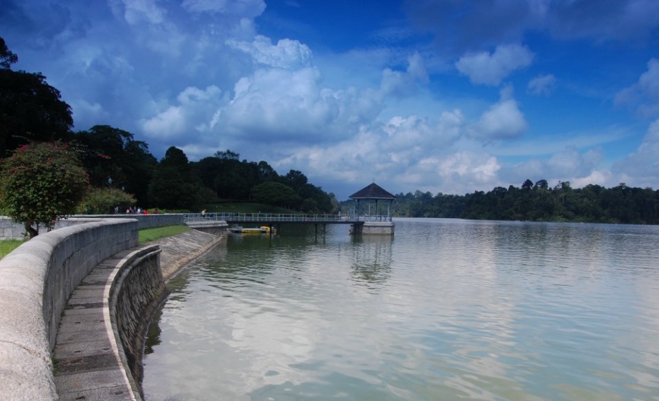 , 5 Singapore nature excursions to check out in April
