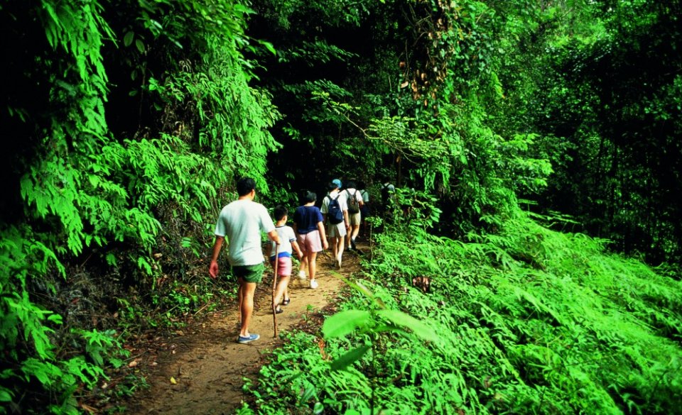 , 9 of the best places to explore nature in Singapore