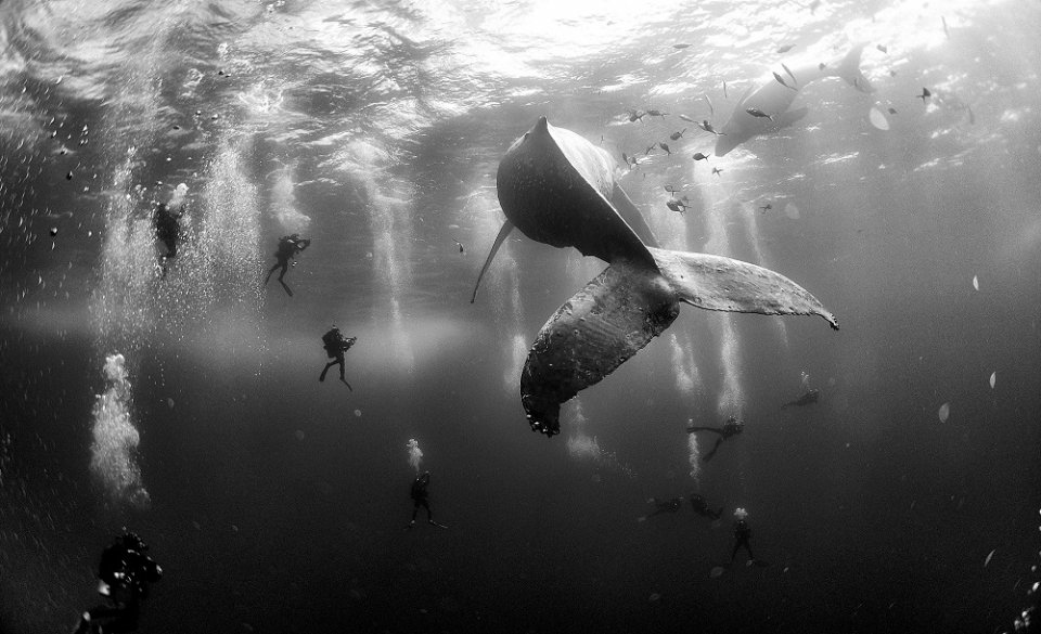 , Some of the world&#8217;s most heartbreaking images of the year will be exhibited at the National Museum this month