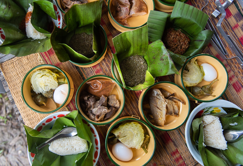 , Go on this three-day foraging food tour through the jungles of Chiang Rai