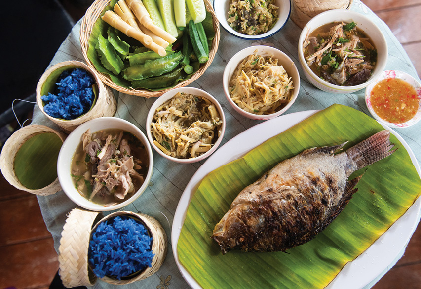 , Go on this three-day foraging food tour through the jungles of Chiang Rai