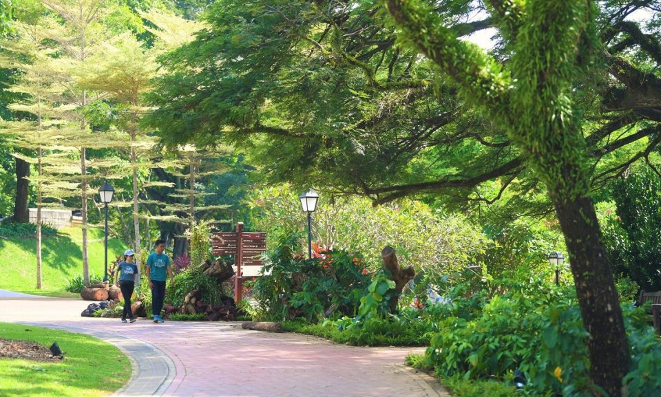 , 25 great outdoor running and cycling routes in Singapore