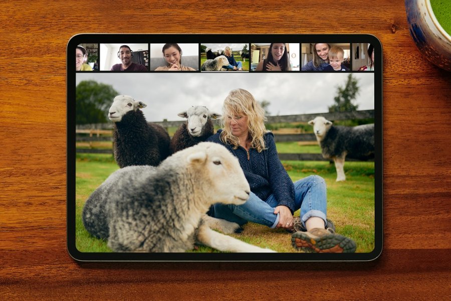 , Learn magic, play with sheep and more on Airbnb Online Experiences