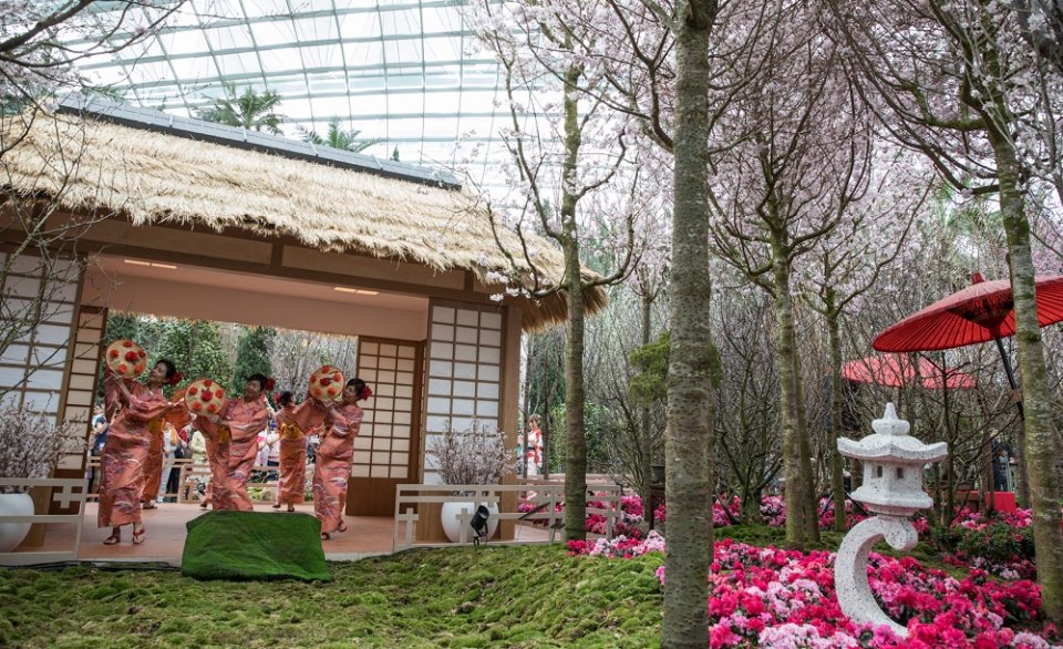 , Check out real cherry blossoms, lifelike dolls and more at Gardens by the Bay this month