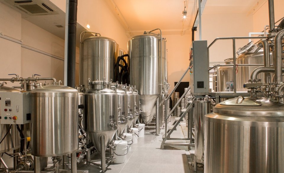 , From greenhorn to commercial brewer: How newbie Pink Blossoms Brewing started from scratch