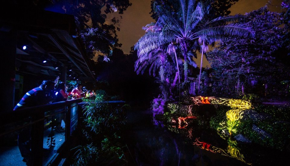 , In pictures: What to expect at Rainforest Lumina, the Zoo’s new multimedia night walk